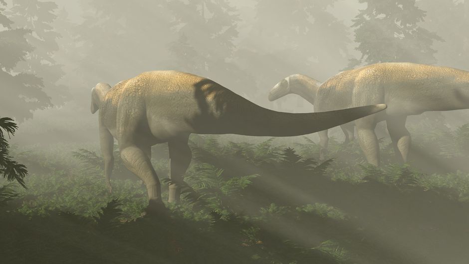 ‘Monster’ dinosaurusfossiel behoort misschien niet tot een wreed roofdierachtig roofdier