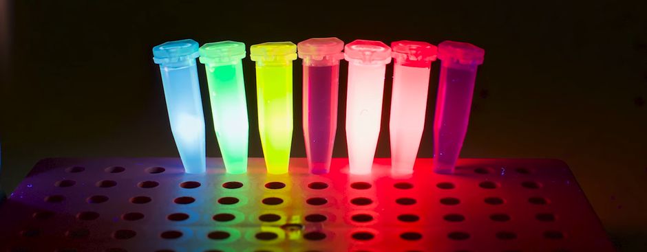 Neonkleurstoffen concurreren met DNA om de volgende versleutelaar voor statistieken wereldwijd te worden