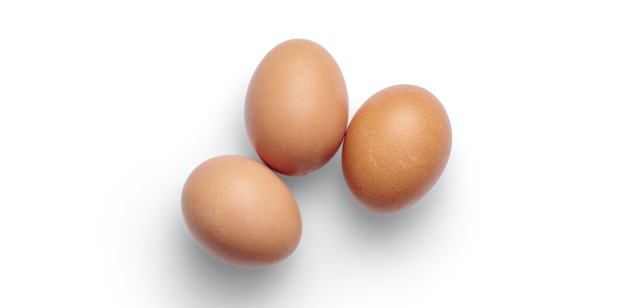 Welke eieren kunnen we eten?